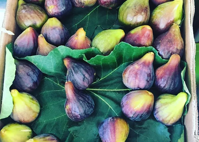 Bed and Breakfast Getwet Surfcamp Αλμάδα